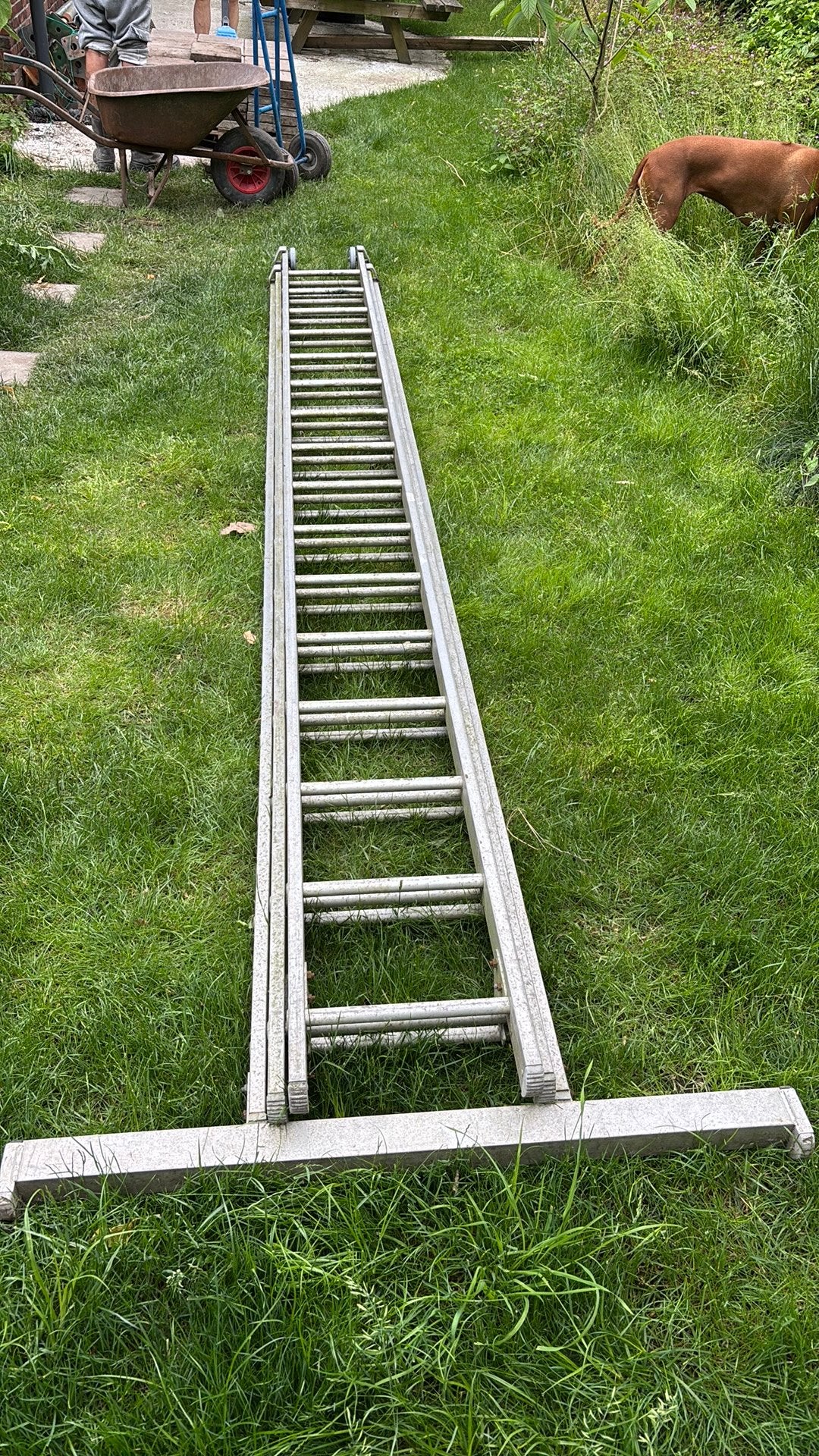 Aluminium Ladder - Uitschuifbaar - 10,5 meter, Ophalen, Gebruikt, Ladder, Opvouwbaar of Inschuifbaar