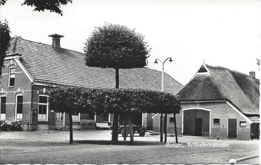 Borger (Dr.) Wilhelminaboom, 1966, Ophalen of Verzenden, 1960 tot 1980, Ongelopen, Drenthe