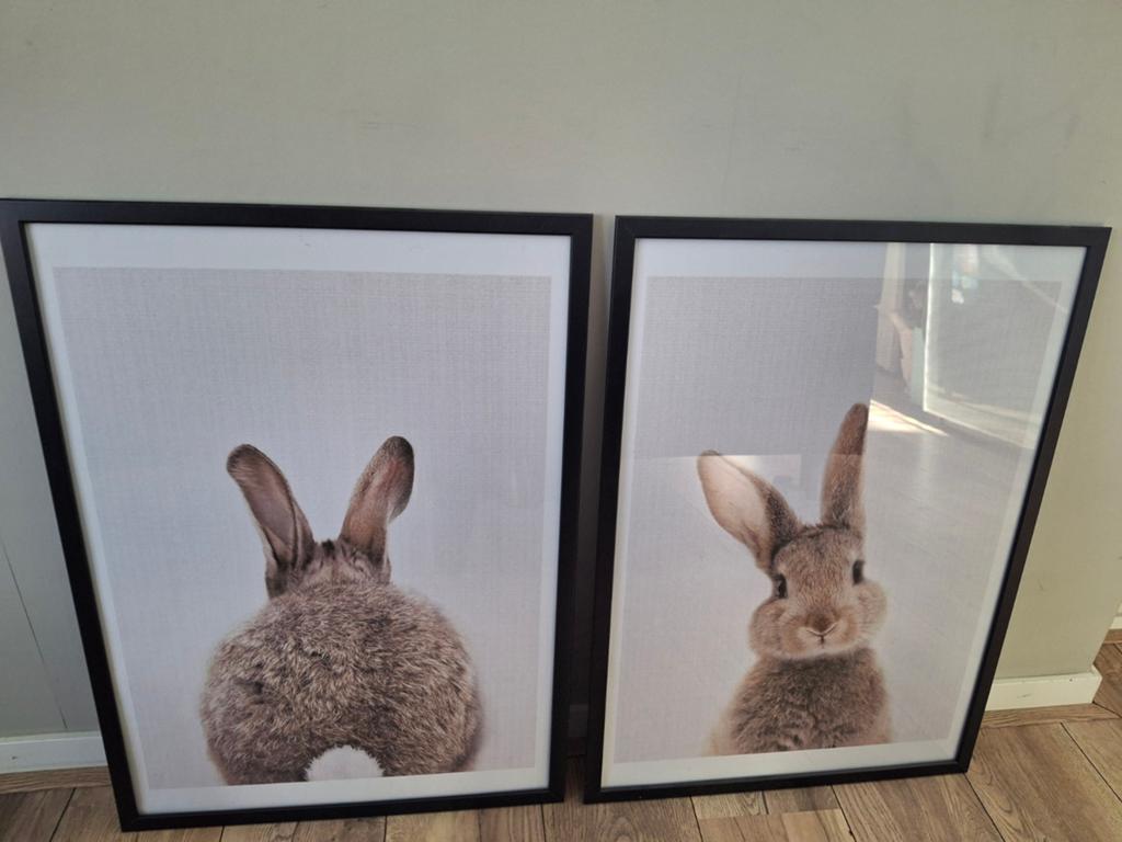 2 konijnen posters 50x70 cm, Ophalen of Verzenden