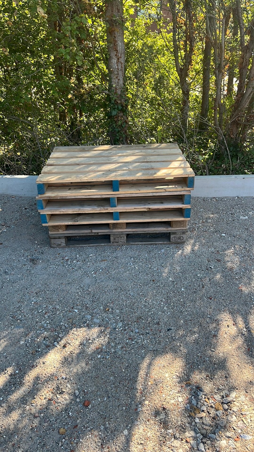 Vijf goede zware pallets. Drie blok en twee euro., Ophalen, Minder dan 25 mm, Zo goed als nieuw, Pallet