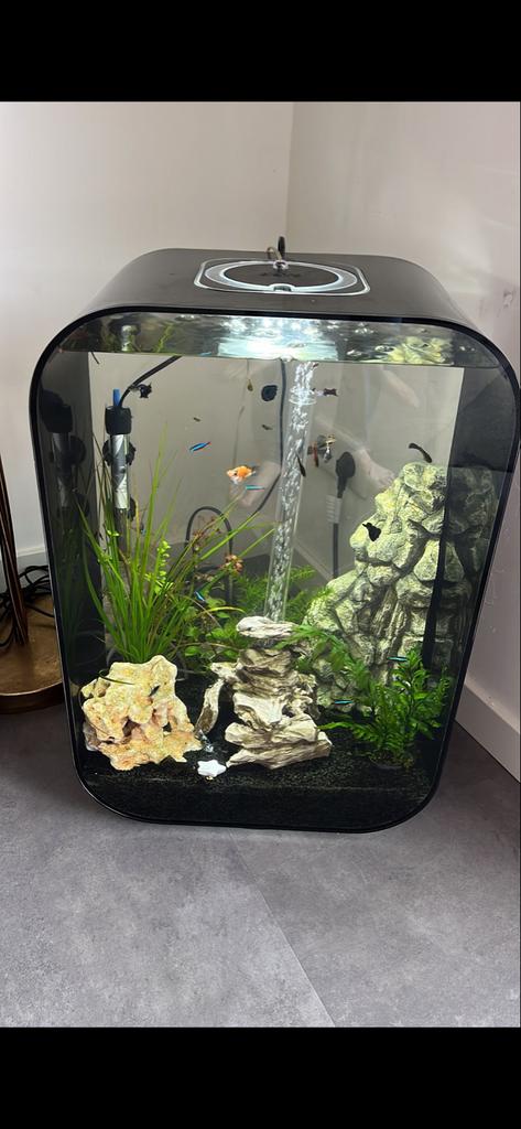 Biorb aquarium 60 liter met veel toebehoren, Dieren en Toebehoren, Vissen | Aquaria en Toebehoren, Ophalen, Zo goed als nieuw