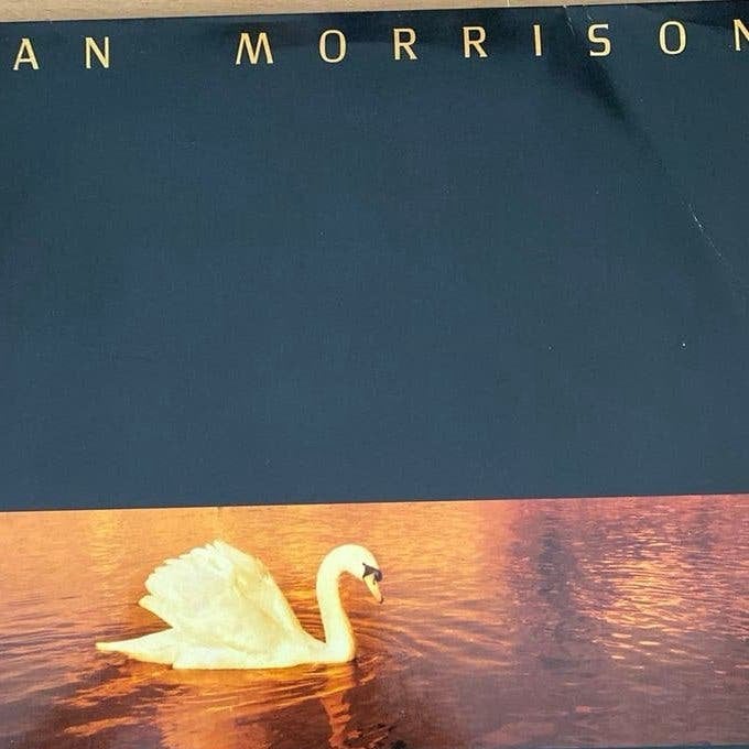 Van Morrison - Avalon Sunset LP (1989), Verzenden, Zo goed als nieuw, 12 inch