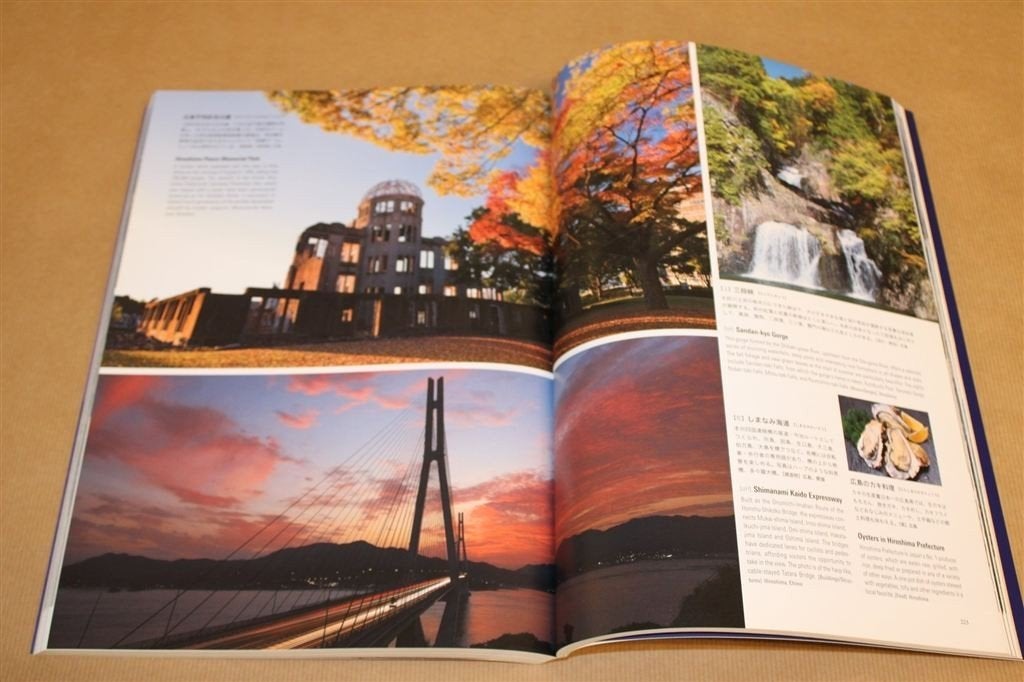 Japan — Prestigieus Fotoboek met de Mooiste Landschappen, Ophalen of Verzenden, Zo goed als nieuw, Fotografen