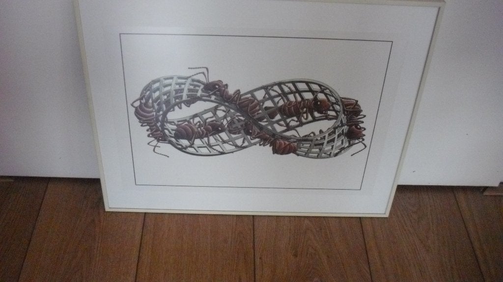 M.C Escher ingelijste litho -Mieren  1963, Ophalen, 50 – 75, Minder dan 50 cm, Zo goed als nieuw