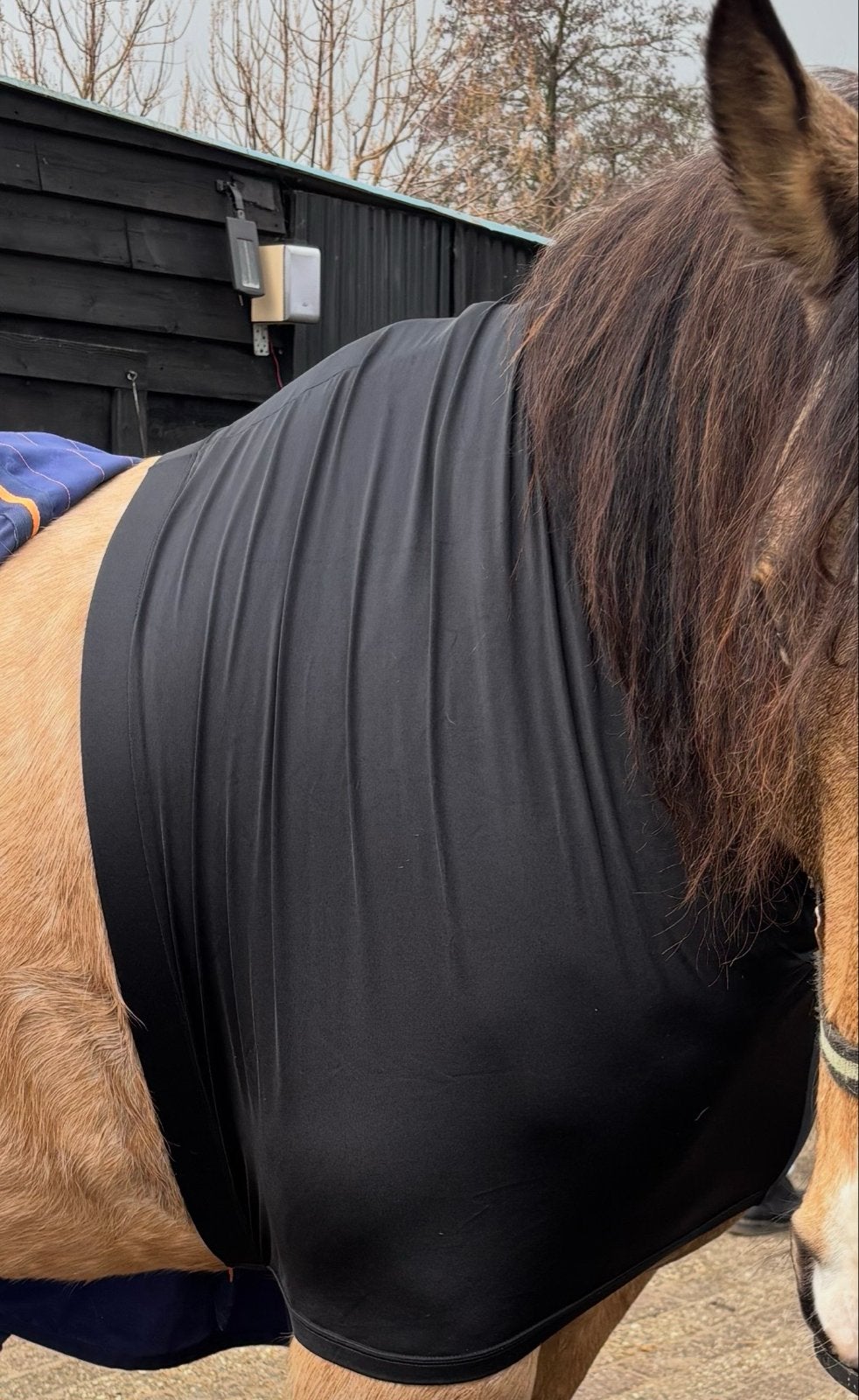 Weatherbeeta Shoulder Guard Stretch Black  Maat: Full, Ophalen of Verzenden, Zo goed als nieuw, Dressuur