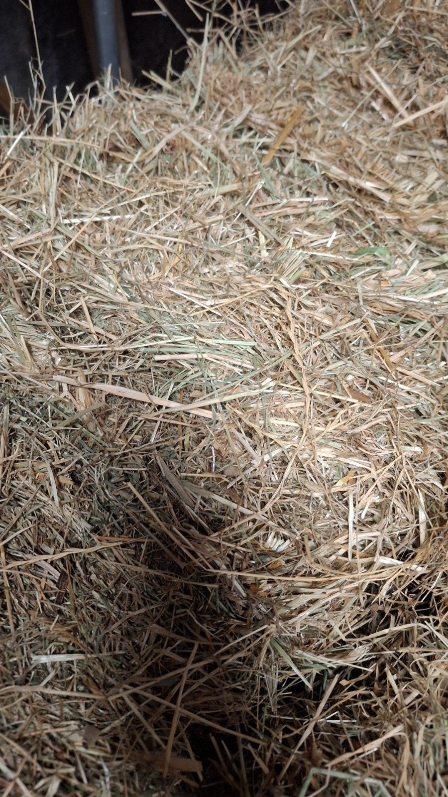 Hooi - Kleine mooie hooibaaltjes, Dieren en Toebehoren, Ophalen, Vee