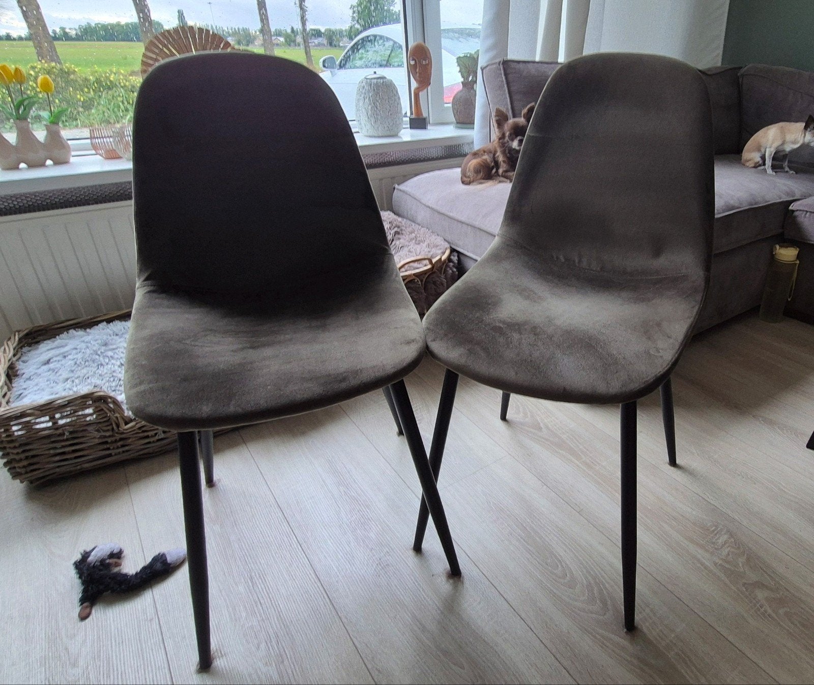 vier velvet eetkamerstoelen olijfgroen, Ophalen, Zo goed als nieuw, Overige kleuren, Vier