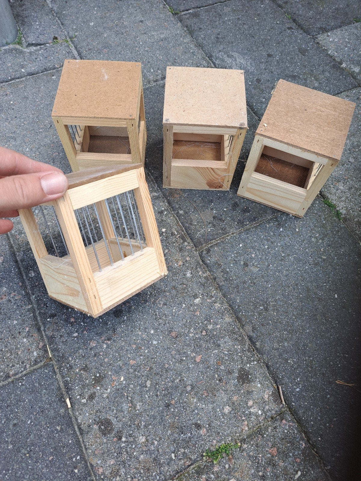 Houten tralie nestkast tropen, Ophalen, Hout, Broedkooi of Kweekkooi