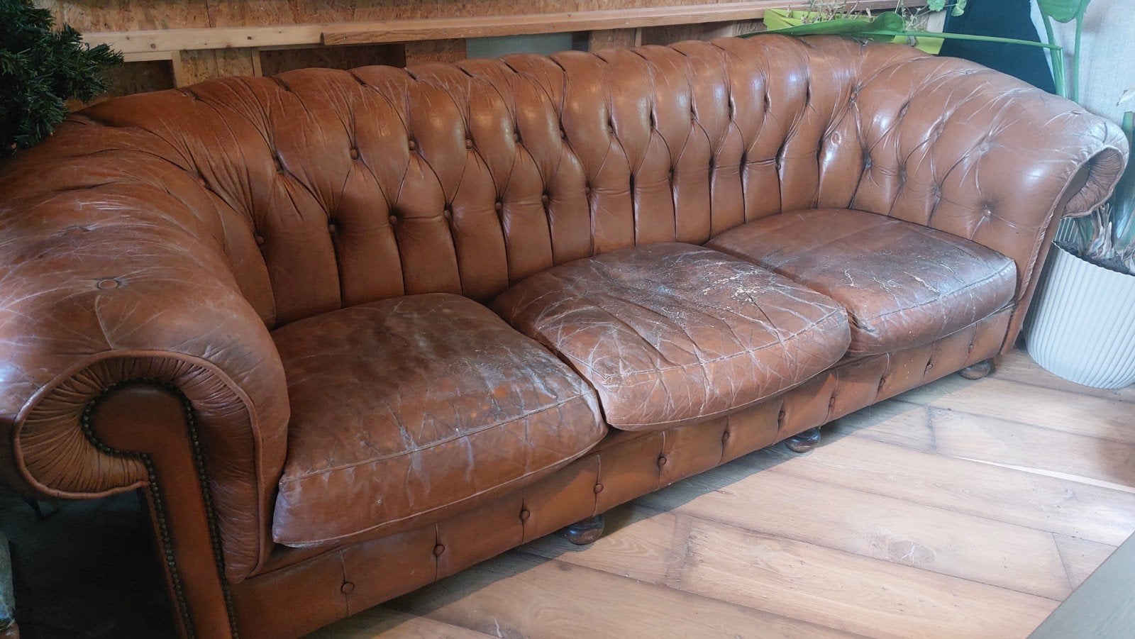 Mooie oude chesterfield bank, Ophalen, Gebruikt, 75 tot 100 cm, Leer