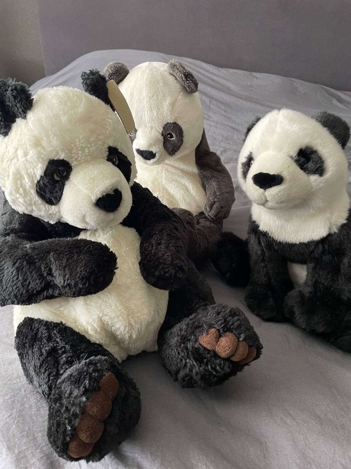 Nieuwe Panda Knuffels - Zacht en Schattig, Ophalen, Beer, Nieuw, Zwart