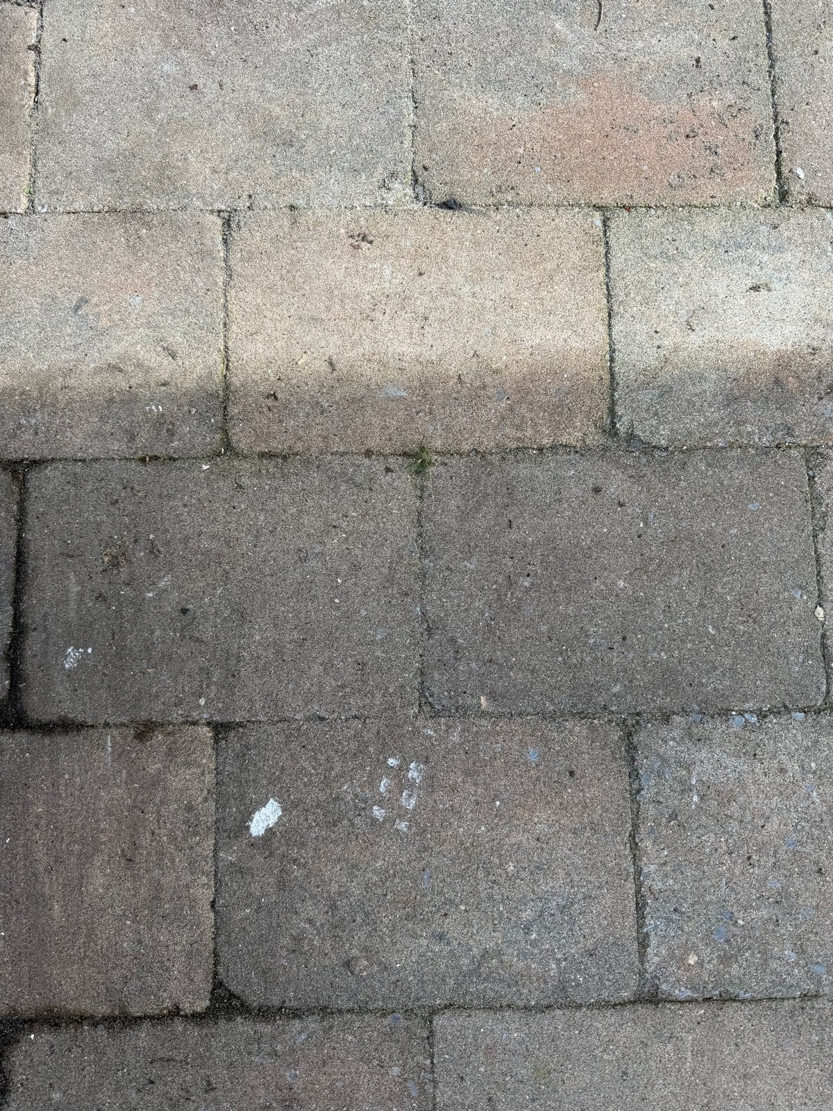 Betontegels tuin 28x20x5 cm - Gratis af te halen, Tuin en Terras, Ophalen, Gebruikt, Beton, Terrastegels