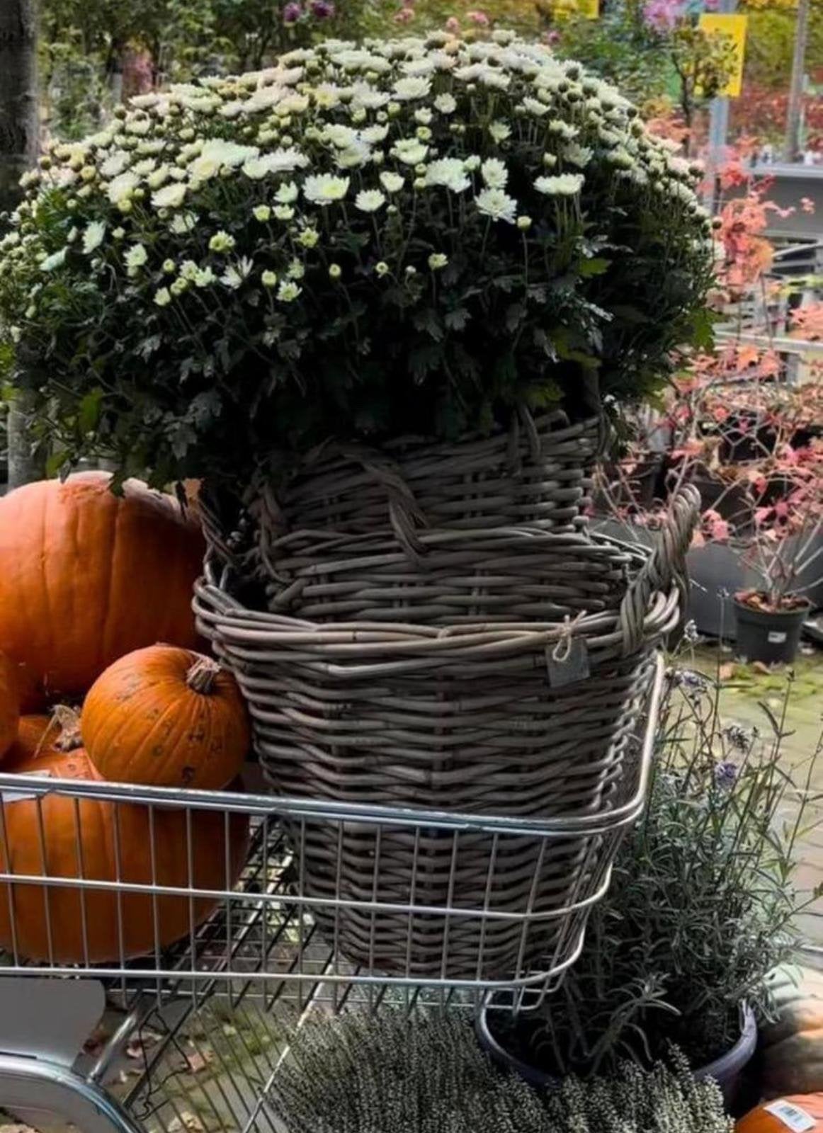 Grote Huis & Tuin mooie manden brocante bloempotten, 25 tot 40 cm, Overige materialen, Gebruikt, Rond