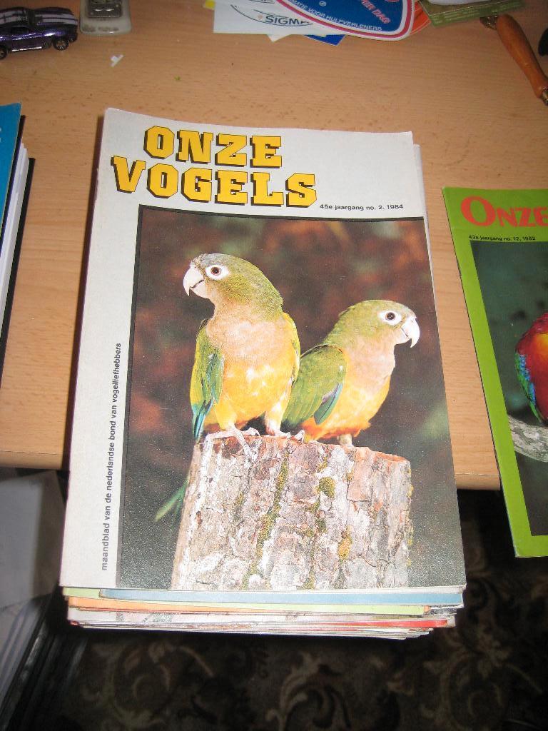 onze vogels, Meerdere dieren, Overige soorten