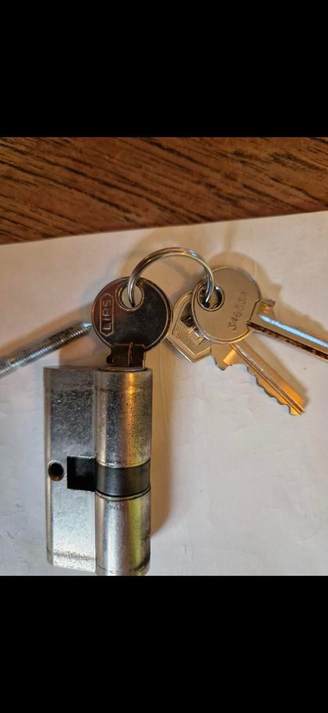 Lips cilinderslot met 3 sleutels, Doe-het-zelf en Verbouw, Hang- en Sluitwerk, Ophalen of Verzenden, Gebruikt, Rvs, Slot