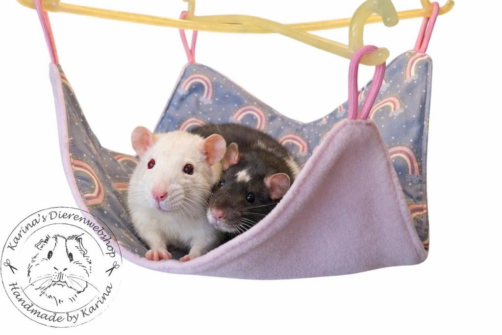 ** Ook voor je ratje kun je terecht bij Karinasdierenwebshop, Dieren en Toebehoren, Knaagdieren en Konijnen | Toebehoren, Nieuw