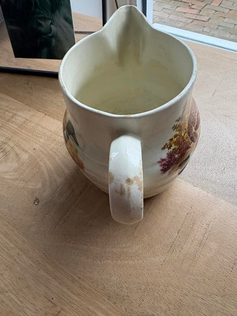 Vintage Waterkan met Eenden Motief, Ophalen of Verzenden