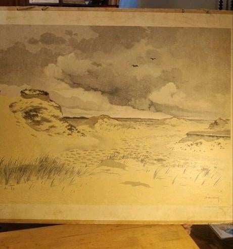Oude schoolplaat 87,5x67,5 - Zandstuiving op de Veluwe, Ophalen, Aardrijkskunde