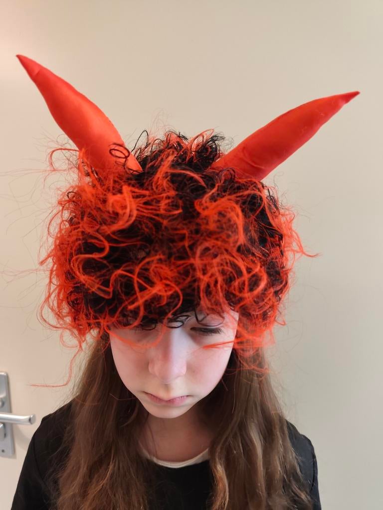 Carnaval spullen, Ophalen of Verzenden, Zo goed als nieuw, Carnaval