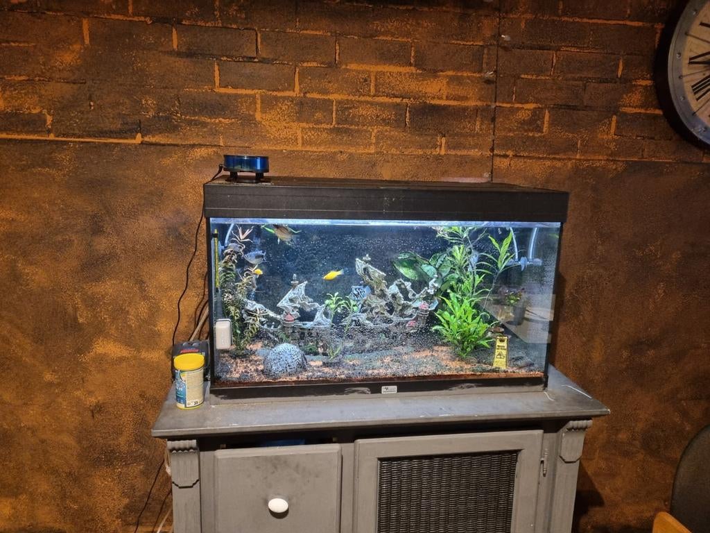 Aquarium te koop, Ophalen