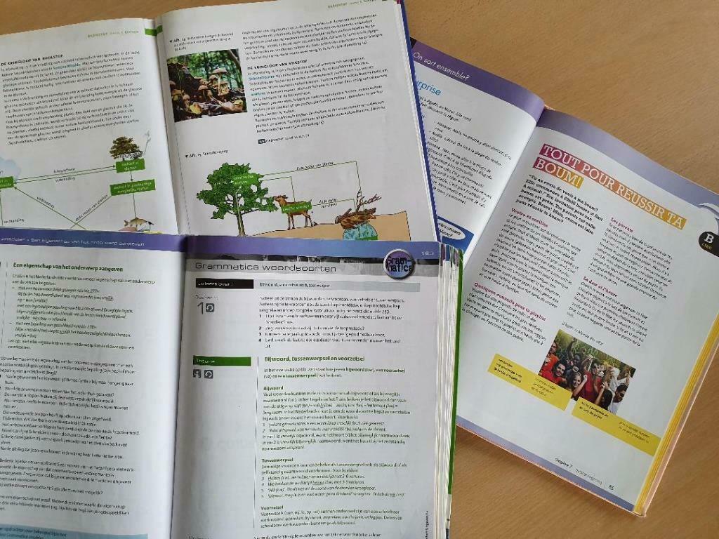 Bijles,  examenbeg. Gecertificeerd Coach. Nieuwland of Zoom., Diensten en Vakmensen, Bijles, Privé-les en Taalles, Privéles, Bijles