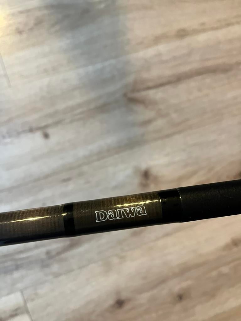 Daiwa karperhengeld 12ft, Watersport en Boten, Hengelsport | Witvissen, Gebruikt, Werphengel, Ophalen