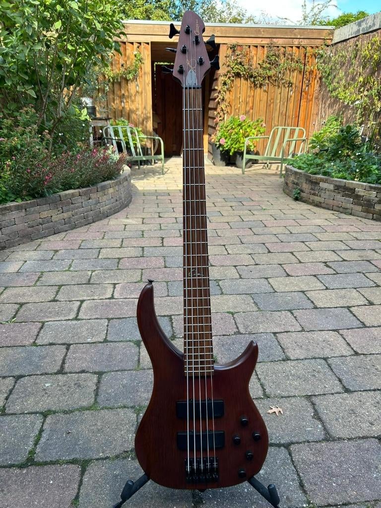 Peavey Cirrus BXP 5 string Walnut met USA Cirrus preamp, Muziek en Instrumenten, Snaarinstrumenten | Gitaren | Bas, Gebruikt, Elektrisch