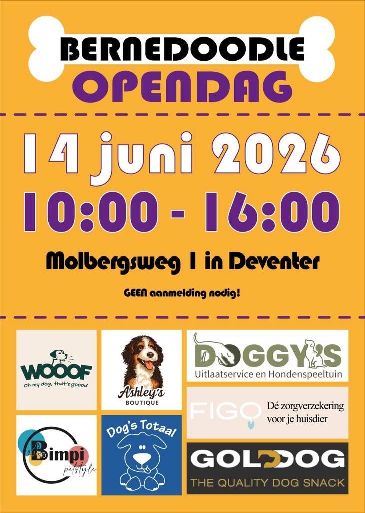 Save the date voor het grootste bernedoodle event !!!, Dieren en Toebehoren, Parvo, Nederland, Overige rassen, 8 tot 15 weken