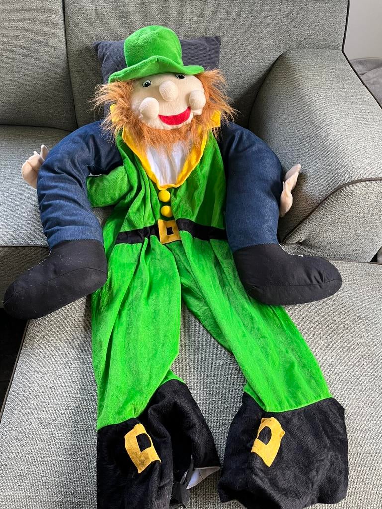 Carnaval kostuum, Ophalen of Verzenden, Zo goed als nieuw, Carnaval