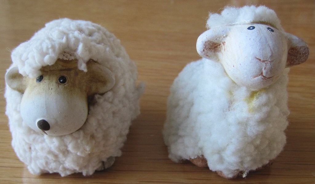 twee beeldjes van een schaap met echte wol, Ophalen of Verzenden, Zo goed als nieuw, Dier