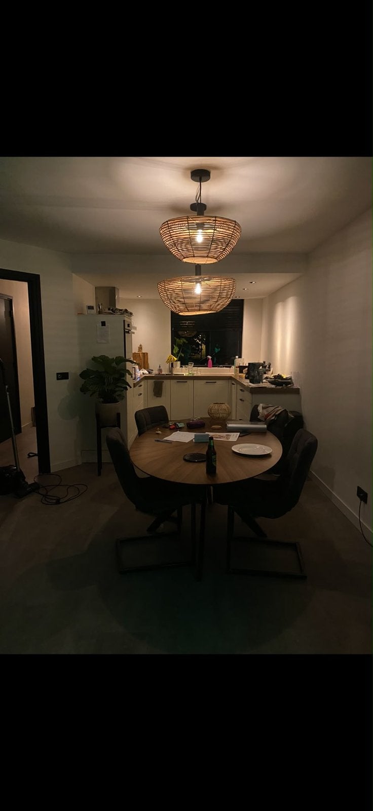 Set van 2 rotan hanglampen - Modern en sfeervol, Ophalen, Zo goed als nieuw, Natuurlijk materiaal, E27 (groot)