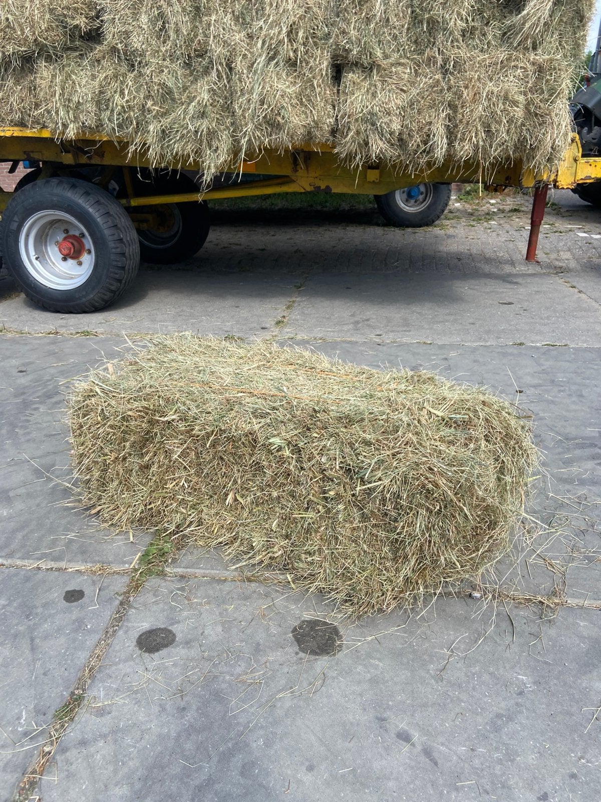 Hooi kleine balen, hooibalen BIO, jakobskruiskruid vrij, Dieren en Toebehoren, Dierenvoeding, Ophalen, Vee