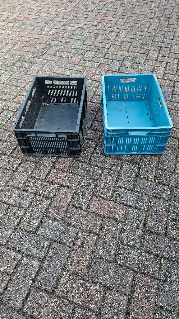 Kratten 60x40x23, 40 tot 60 cm, 50 tot 75 cm, Minder dan 35 cm, Ophalen of Verzenden
