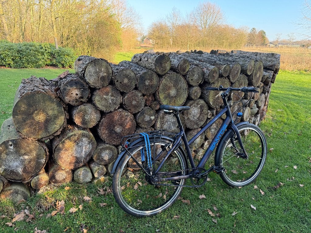 Santos Travel Master 3+ Mixte  Rohloff riem Vakantiefiets 53, Fietsen en Brommers, Fietsen | Dames | Sportfietsen en Toerfietsen