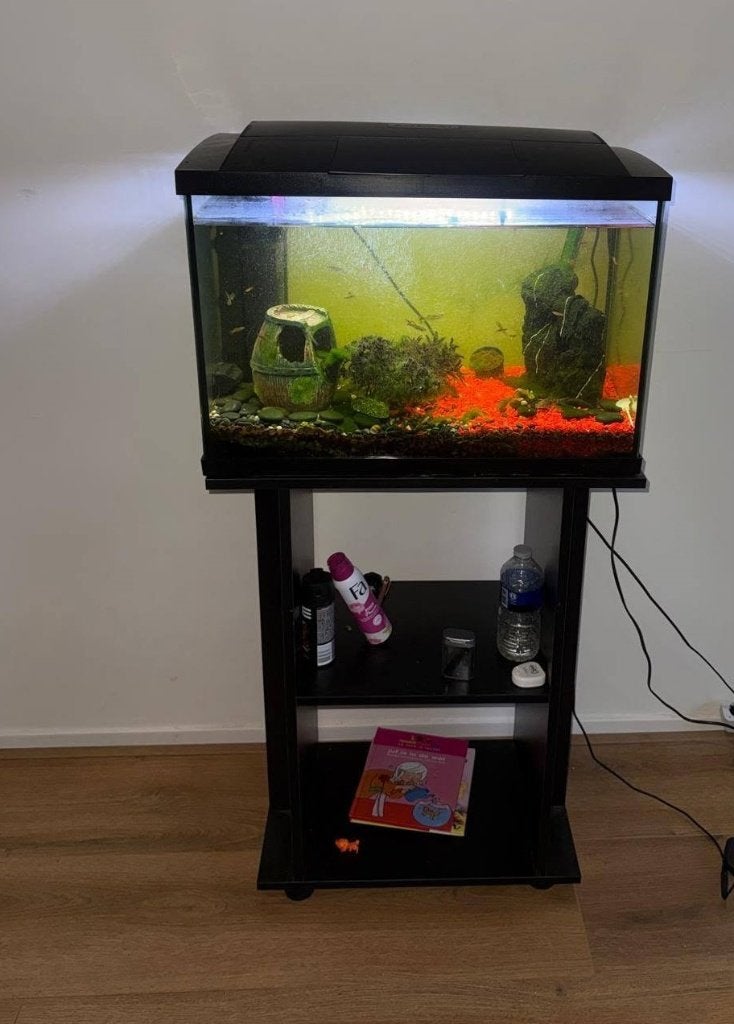 aquarium compleet  60x 30 x 40, Dieren en Toebehoren, Vissen | Aquaria en Toebehoren, Ophalen, Inclusief vissen, Zo goed als nieuw