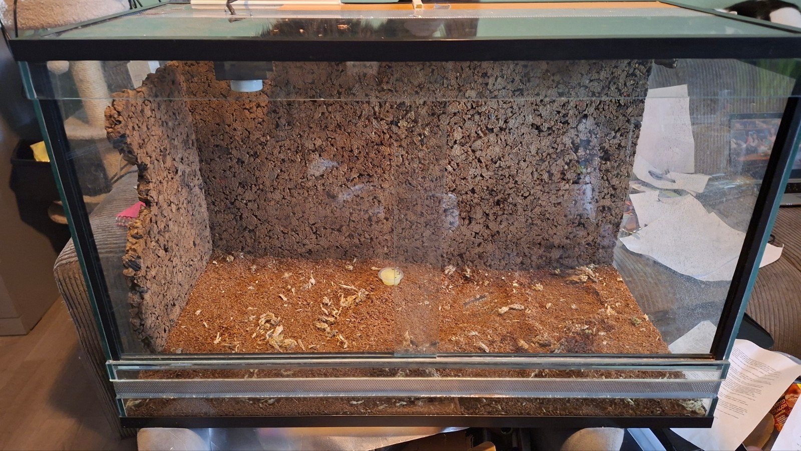 mooi stevig terrarium, Ophalen, Gebruikt, Terrarium of Paludarium