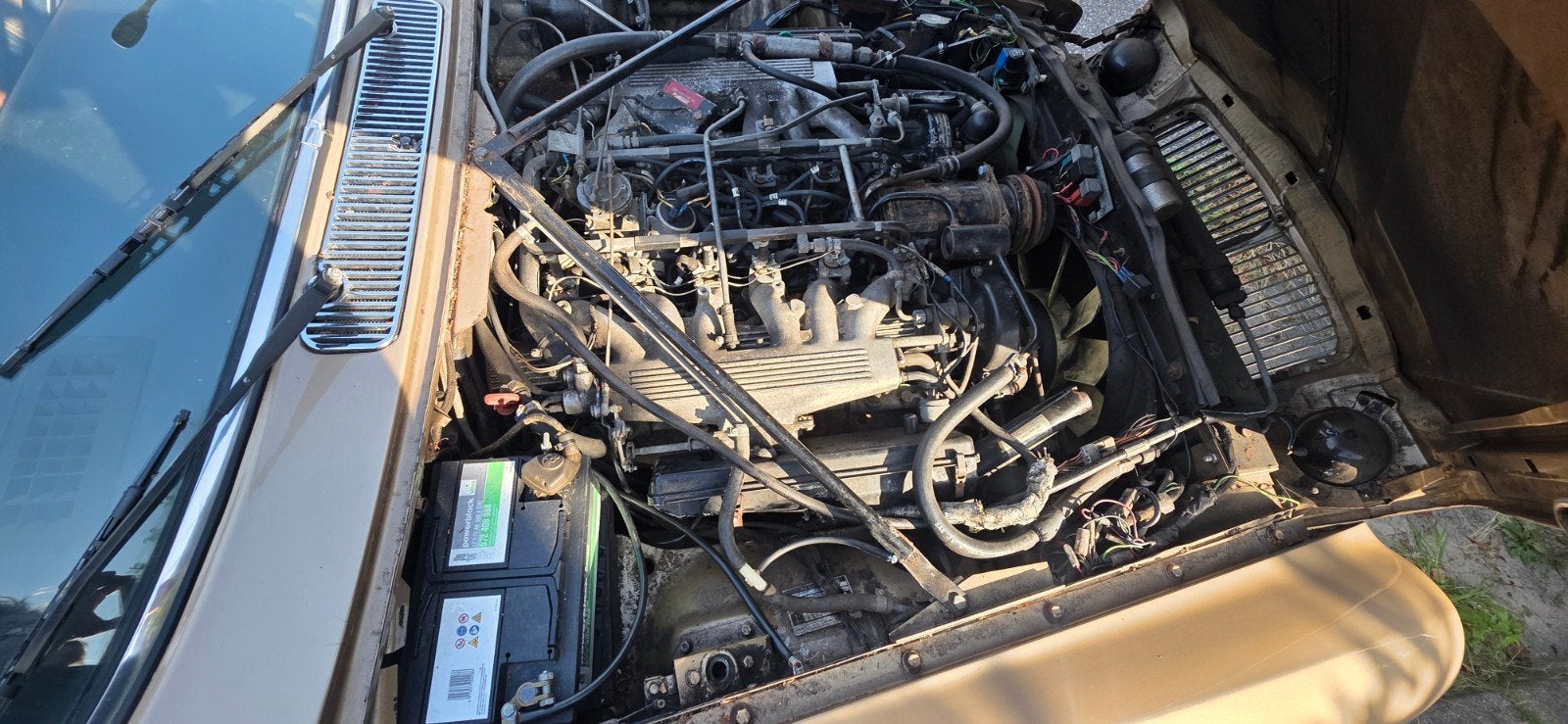 Daimler Double-six 1981 met APK Belastingvrij., foto 10
