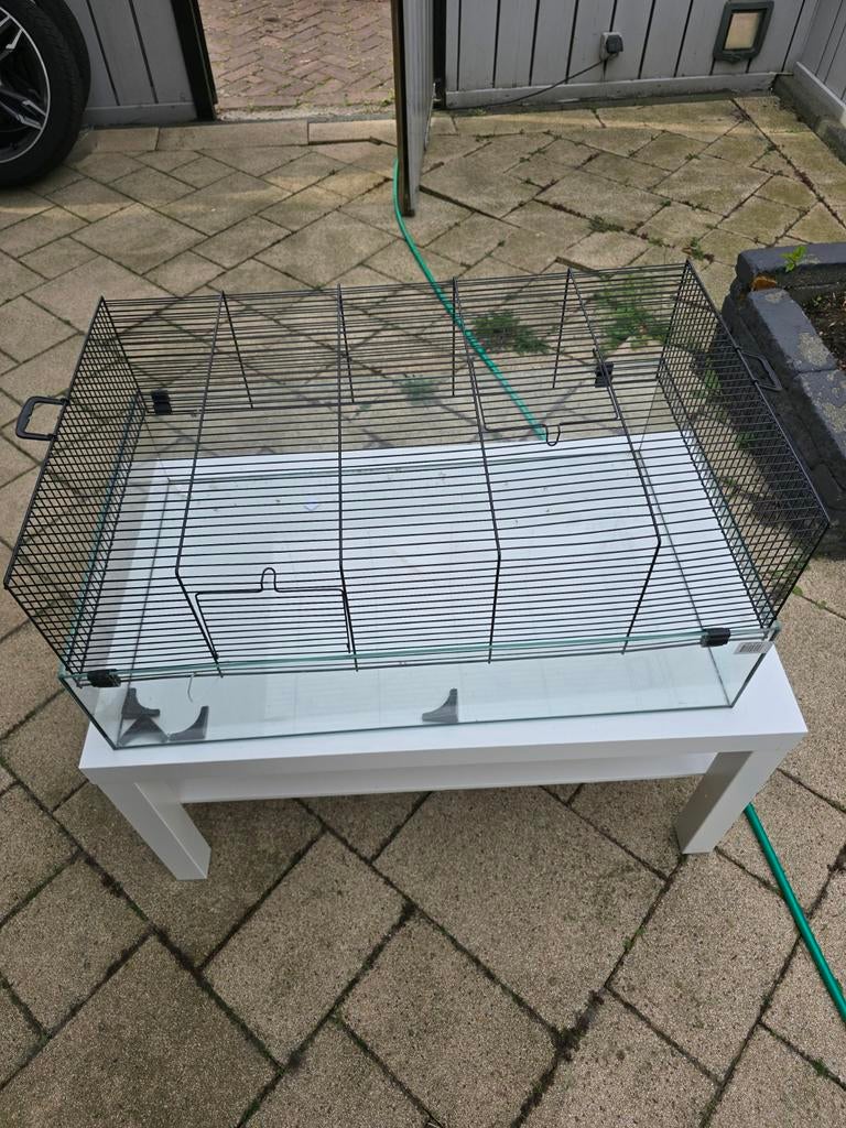 Hamster kooi glas, Dieren en Toebehoren, Knaagdieren en Konijnen | Hokken en Kooien, Ophalen