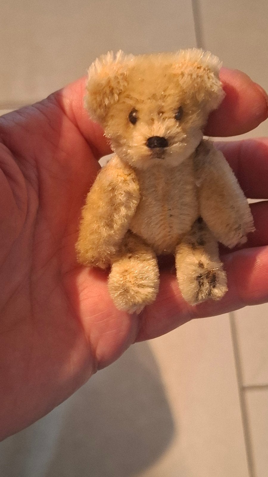 Schuco beertje.  9 cm., Ophalen of Verzenden