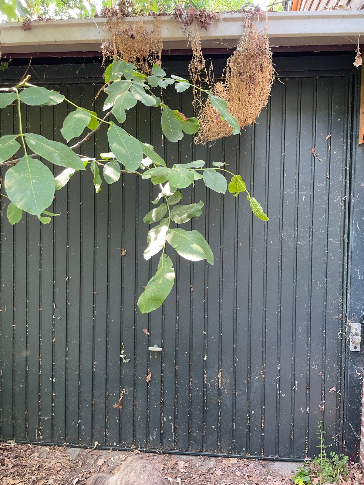 Ruime garagebox met stevig ijzeren frame (6x3m), Ophalen, Gebruikt, Metaal, Containerberging