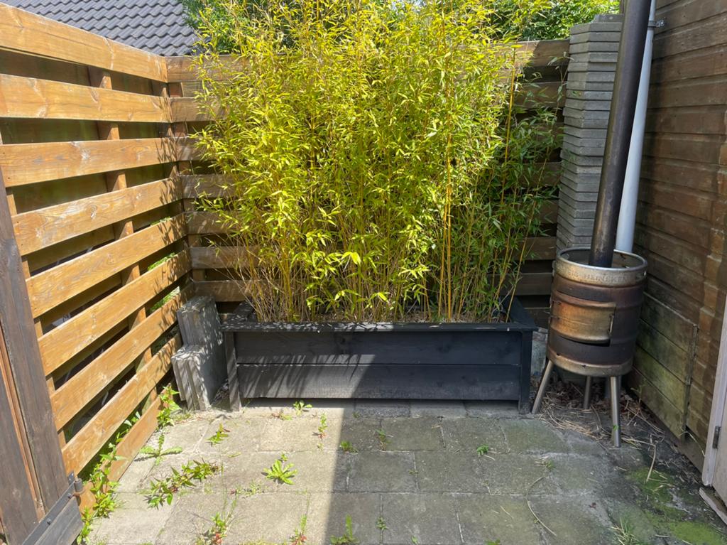 Houten plantenbak zwart met bamboe b163xd54xh49, Ophalen, Gebruikt, 100 cm of meer, Rechthoekig