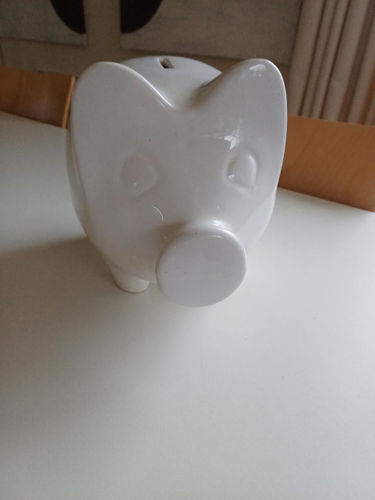 Een leuke spaarpot in de vorm van een varken., Ophalen of Verzenden, Gebruikt, Steen, Aardewerk of Keramiek, Dier