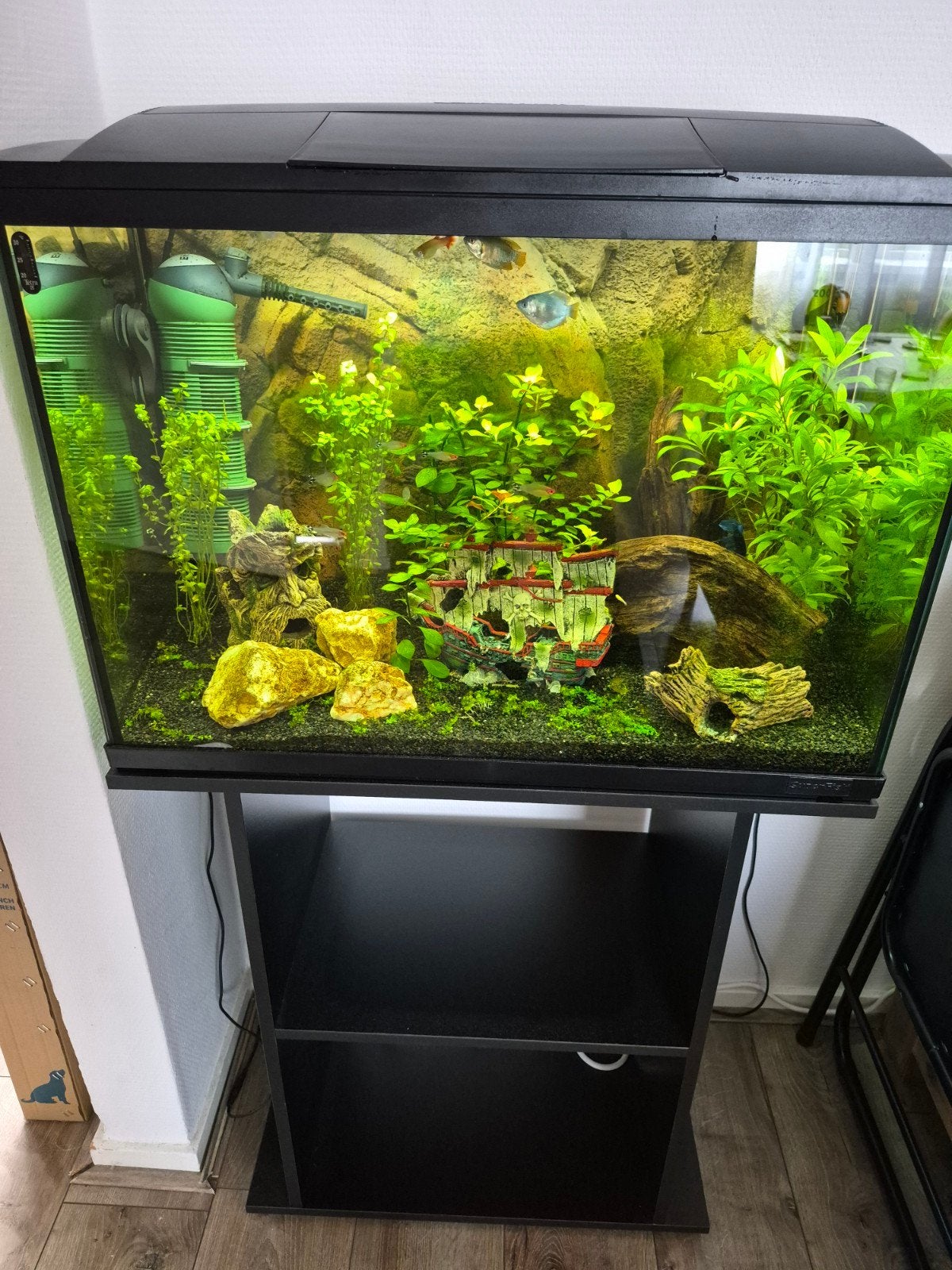 Superfish 100 Aquarium Compleet, Ophalen, Inclusief vissen, Nieuw, Gevuld zoetwateraquarium