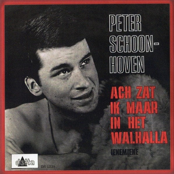 Nieuwpersing vinylsingle peter Schoonhoven '23 gezocht, Ophalen of Verzenden, Zo goed als nieuw, Overige formaten, Levenslied of Smartlap