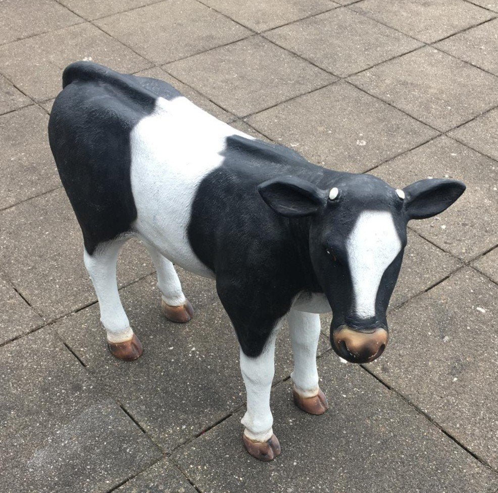 Polyester koe kalf beeld., Tuin en Terras, Tuinbeelden, Ophalen, Zo goed als nieuw, Kunststof