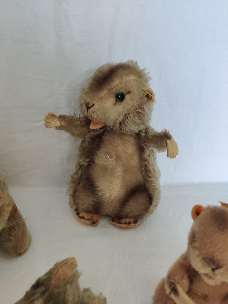 Steiff Murmeltier ( marmot ), Ophalen