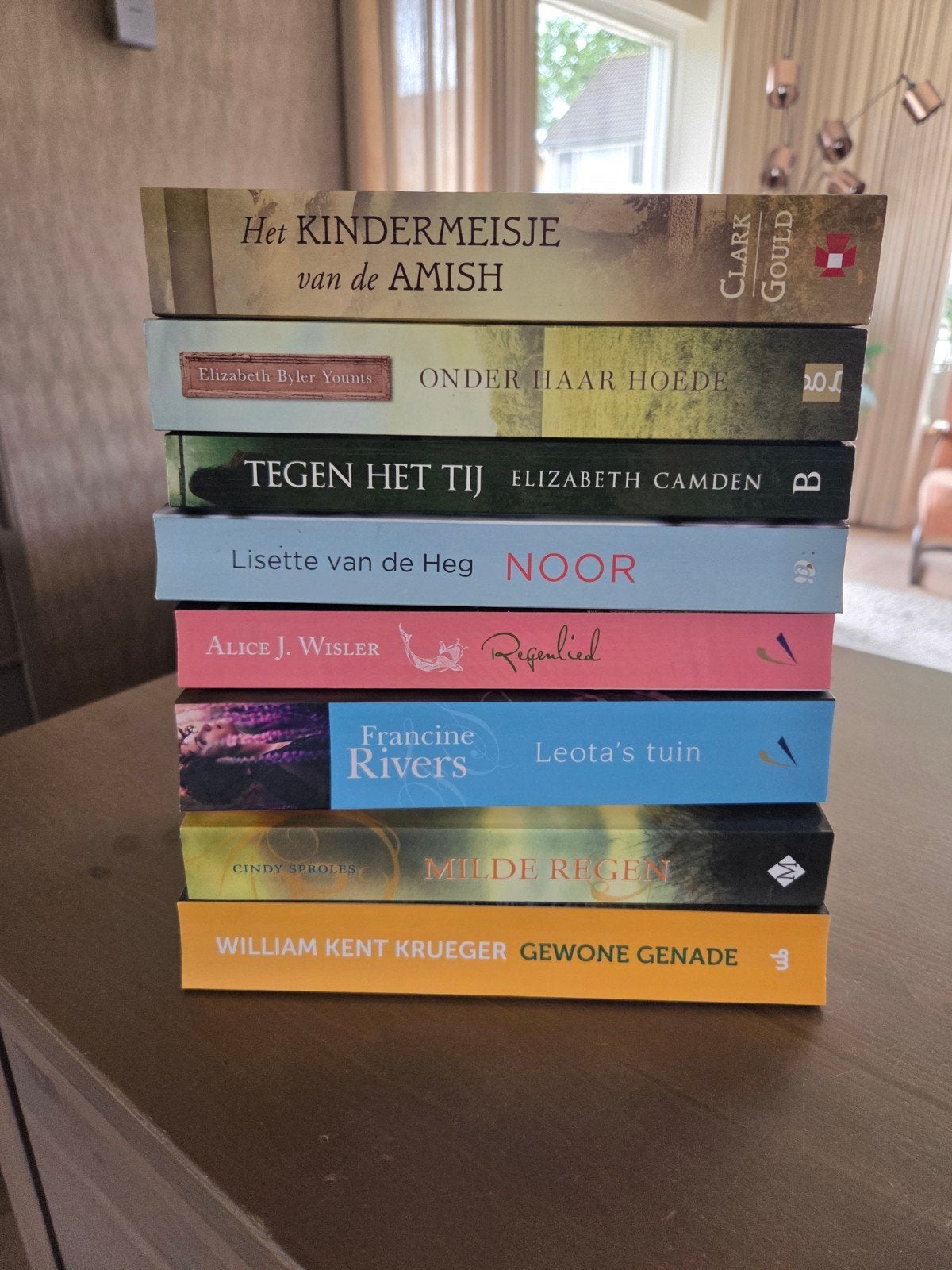 Boekenpakket: 8 Romans van diverse auteurs, Boeken, Romans, Gelezen, Amerika, Ophalen of Verzenden