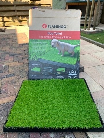 Dog Toilet, Dieren en Toebehoren, Ophalen, Nieuw