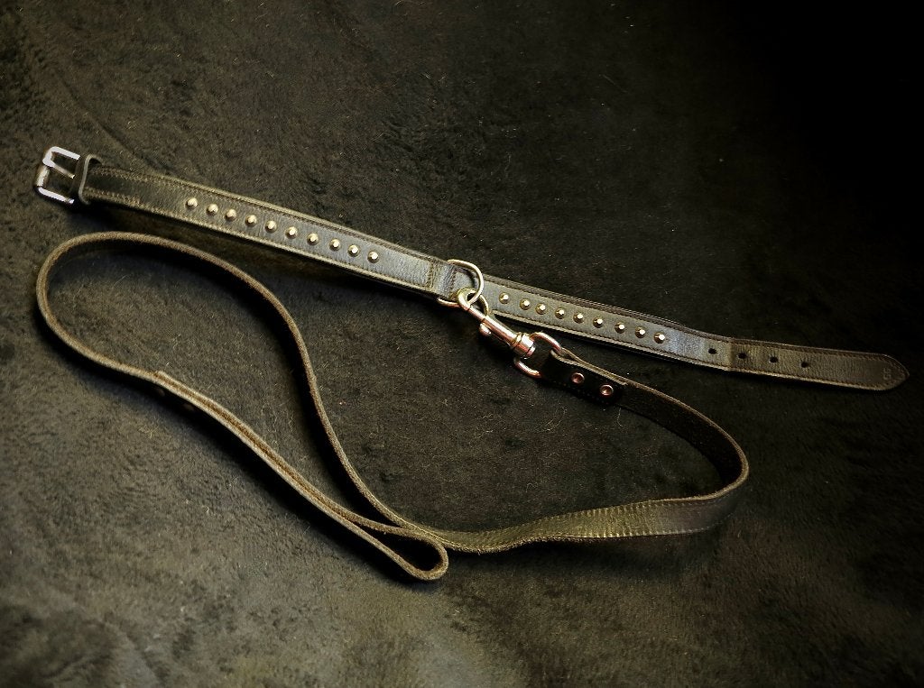 Leren Halsband met studs, plus riem, Verzenden, Zo goed als nieuw, Hondenriem