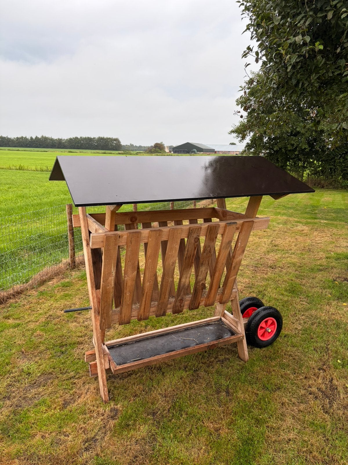 Hooiruif op wielen, Meerdere dieren, Schaap
