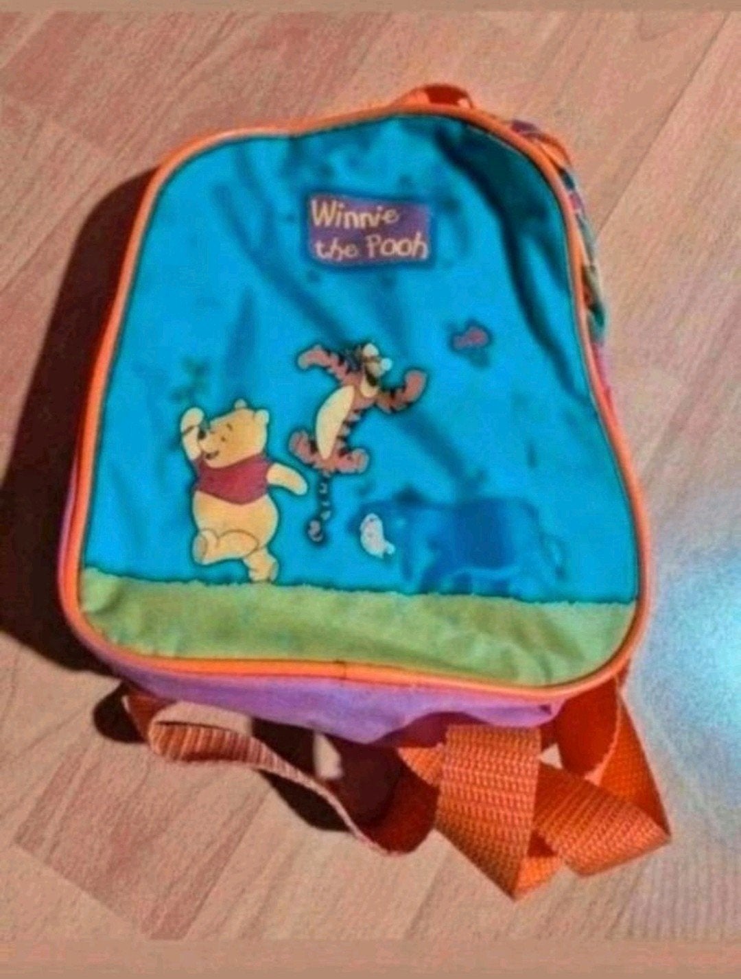 Schattig kinder rugzakje Winnie de Poeh, Tijgertje, Iejoor, Gebruikt, Minder dan 30 cm, Disney of Dora, Ophalen of Verzenden